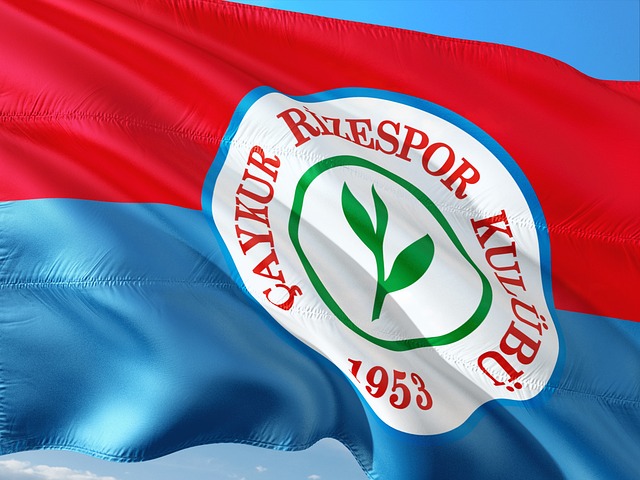 加之药厂擅 加之药厂擅