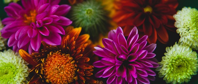 复苏预期 复苏预期