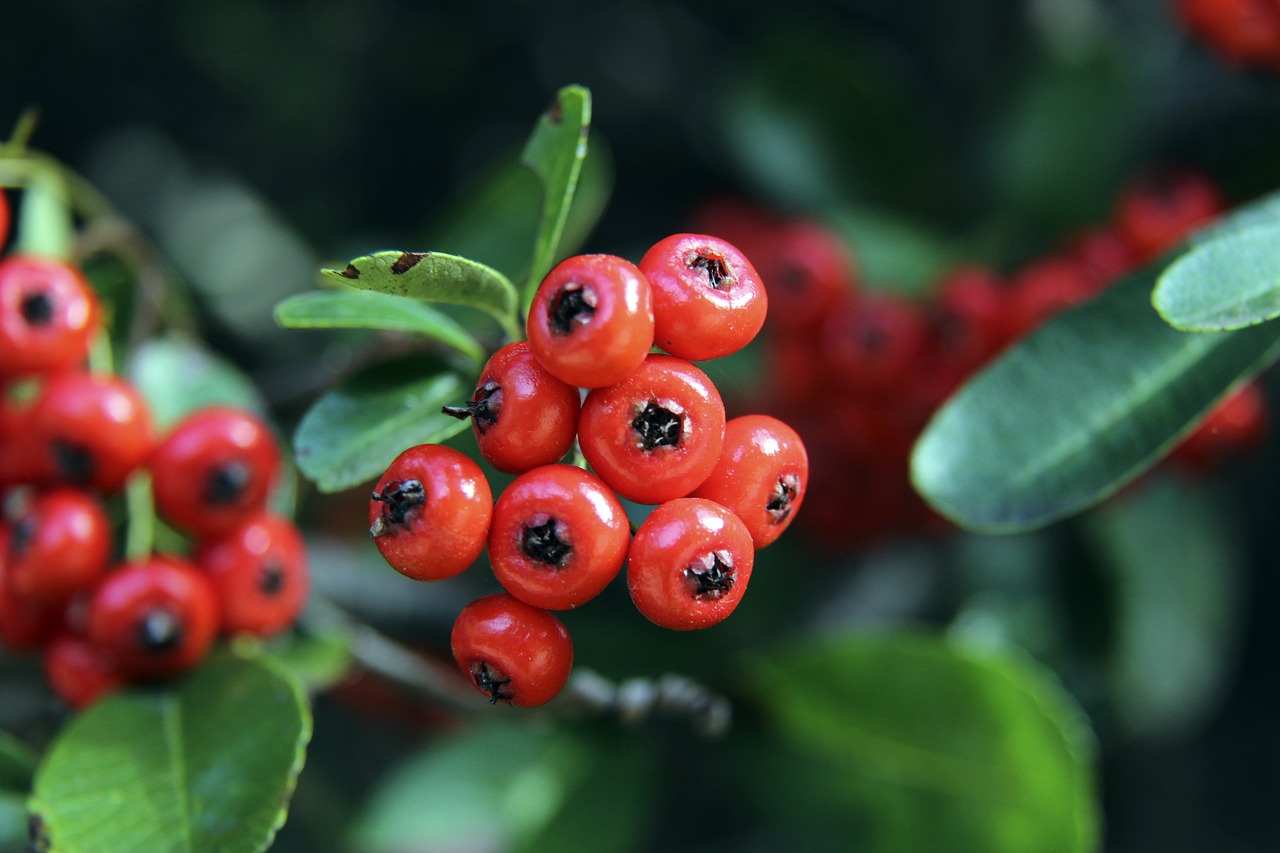 低谷的更深 低谷的更深