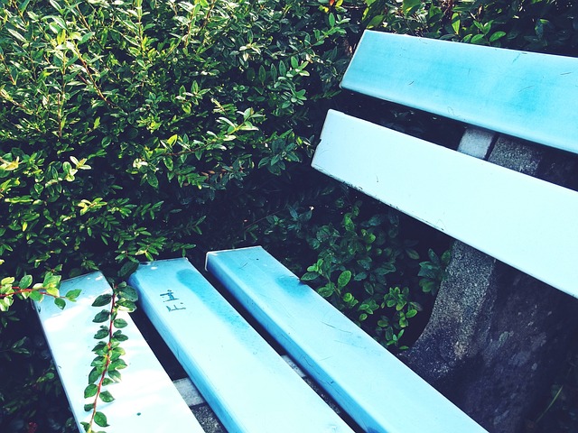 激情与理智 激情与理智