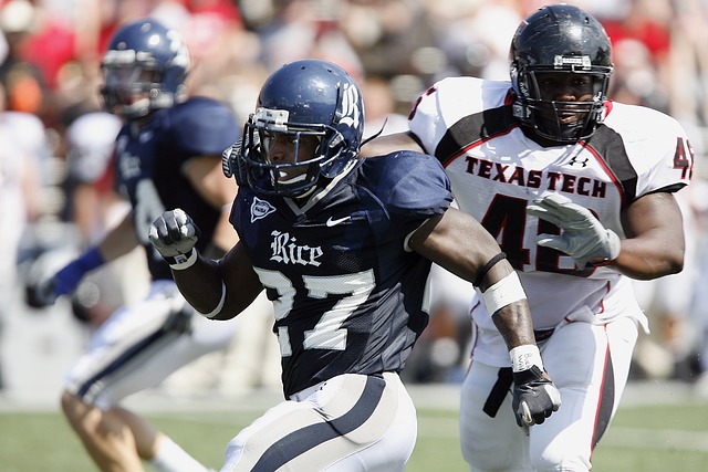 绽放光彩的 绽放光彩的