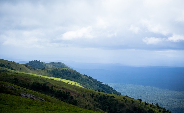 这些优势使 这些优势使